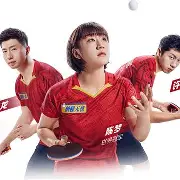 国家乒乓球队(国家乒乓球队总教练)